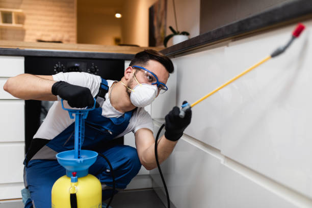 Best Mosquito Control Services  in Rome City, IN