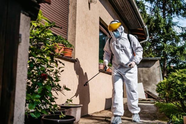 Best Affordable Pest Control Services  in Rome City, IN