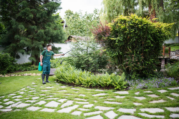 Best Local Pest Control Services  in Rome City, IN
