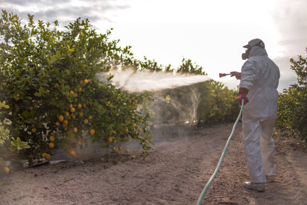 Reliable Rome City, IN Pest Control Solutions