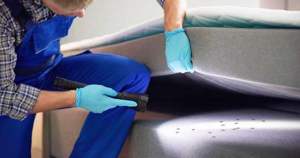 Best Pest Control Near Me  in Rome City, IN