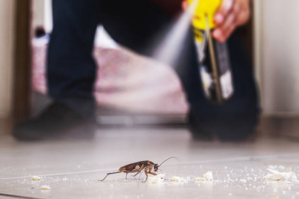 Professional Pest Control in Rome City, IN