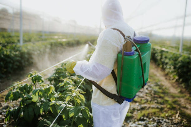 Best Best Pest Control Companies  in Rome City, IN